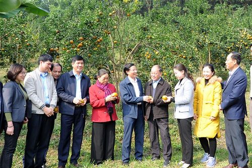 Các đồng chí nguyên lãnh đạo Trung ương thăm huyện Hàm Yên