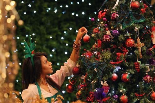 Bạn có biết sự ra đời của cây thông Noel?