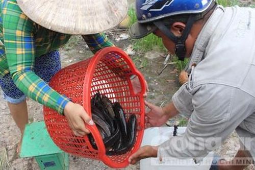Kỳ cuối: Làm gì để giữ lại đặc sản của vùng?