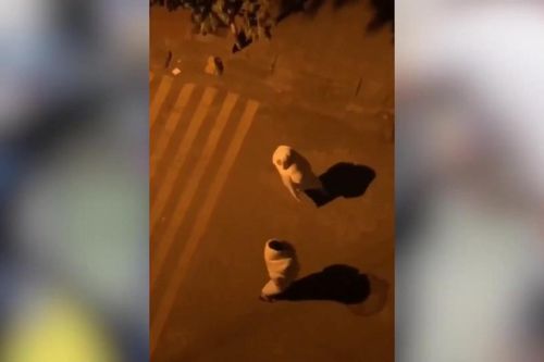 Clip: Cặp đôi trùm chăn chơi đuổi bắt dưới đường
