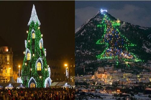 Ngắm những cây thông Noel độc đáo, tuyệt đẹp trên khắp thế giới