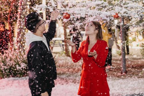 Đón Noel, các trường trang trí cây thông khổng lồ, phun tuyết trắng như trời Tây