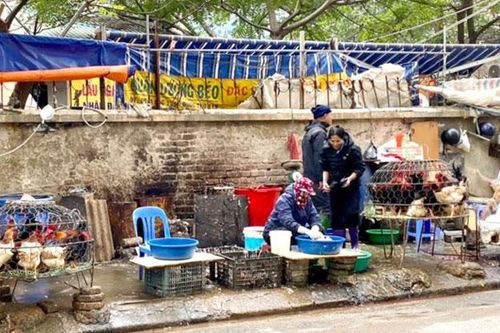 Siết chặt hoạt động giết mổ gia cầm