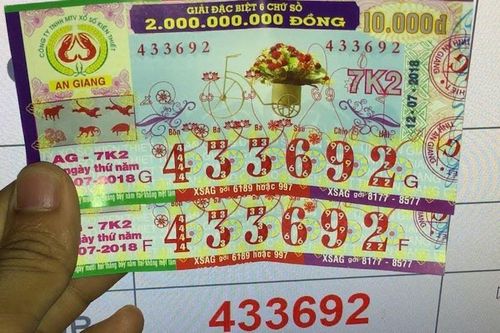 Trộm vé số trúng giải đặc biệt, 'vợ hờ' lĩnh 7 năm tù