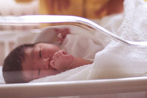 Hành trình tìm cha của những đứa trẻ ra đời nhờ tinh trùng hiến tặng