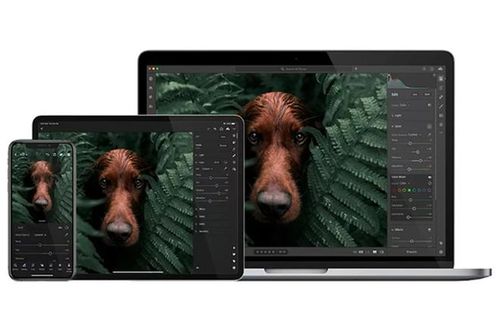 Adobe ra mắt phiên bản beta Premiere Pro dành cho máy tính Mac dùng chip M1