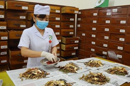 Bao bì thuốc cổ truyền phải được kiểm nghiệm, đạt tiêu chuẩn