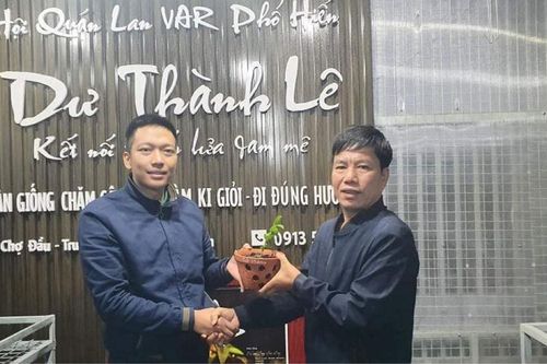 Lê Thành Dư: Xây dựng cơ nghiệp từ hoa phong lan