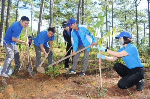 Chú trọng phát triển đảng trong đoàn viên, thanh niên