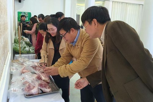 Đánh giá mô hình thí điểm chuỗi cung ứng thực phẩm an toàn