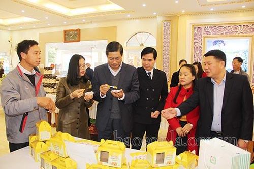 Đánh giá, xếp hạng sản phẩm OCOP năm 2020