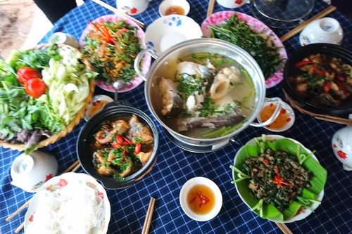 Khám phá xứ sở cù lao miệt vườn sông nước Vĩnh Long