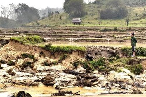 Thủy điện 'ngốn' hơn 100 ha rừng bị tố làm sạt lở đất của dân