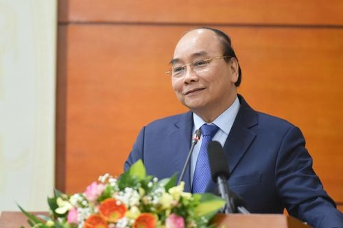 Thủ tướng yêu cầu xử nghiêm người chặt đào rừng mang về xuôi chơi Tết