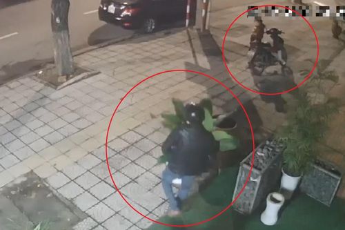 Đôi nam nữ trộm chậu cây