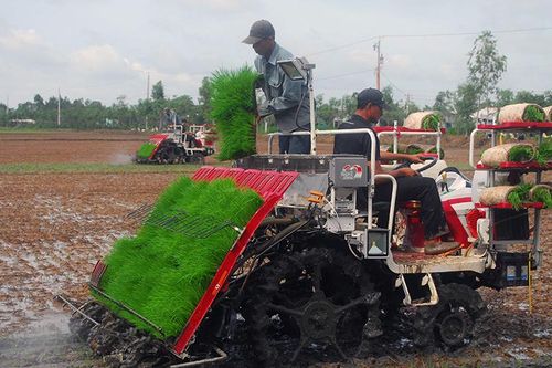 Không khí lạnh suy yếu chậm ở Bắc Bộ và Trung Bộ