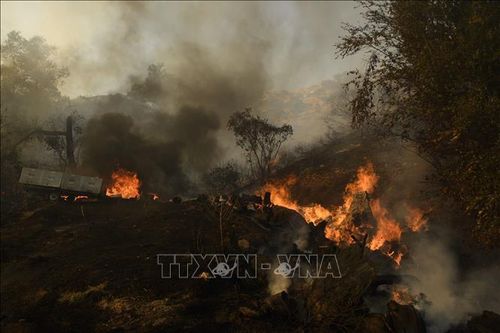 Mỹ: Cháy rừng bang California, 7.000 người sơ tán