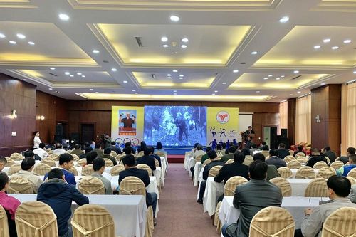 Quảng Ngãi khen thưởng tập thể và cá nhân tham gia tổ chức giải Marathon Tiền Phong 2020