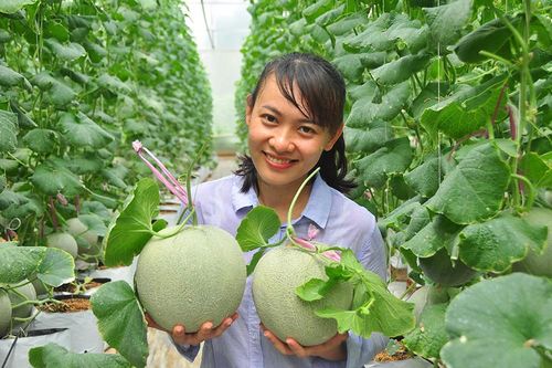 Việt Nam nằm trong top 3 hệ sinh thái khởi nghiệp sáng tạo lớn nhất Đông Nam Á