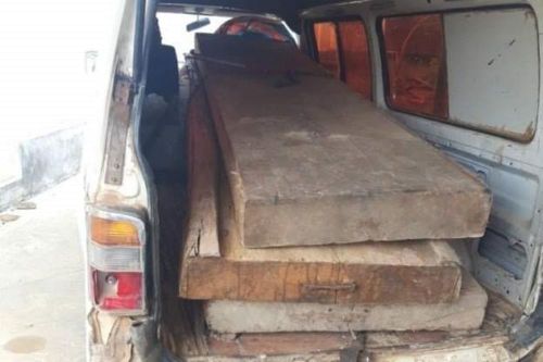 Đắk Lắk: Bắt chủ tịch xã liên quan đến gỗ lậu