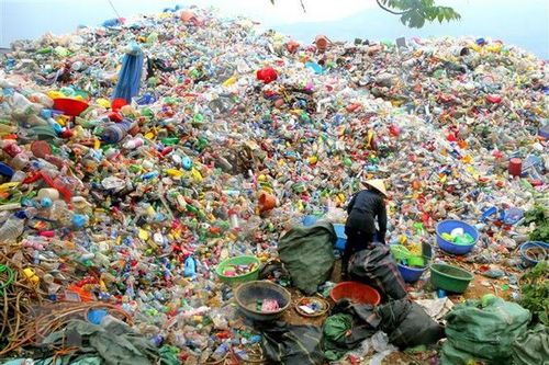 Khởi động chương trình hành động quốc gia về nhựa