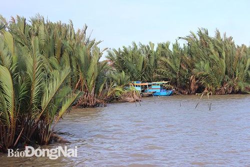 Dành nhiều đất cho các dự án kho bãi, dịch vụ