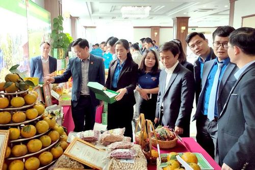Hội thảo 'Giải pháp đẩy mạnh khởi nghiệp trong thanh niên gắn với chương trình mỗi xã một sản phẩm (OCOP)'