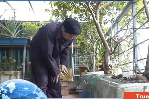 Loạn quảng cáo 'thuốc gia truyền' trên Youtube khiến người xem hoang mang