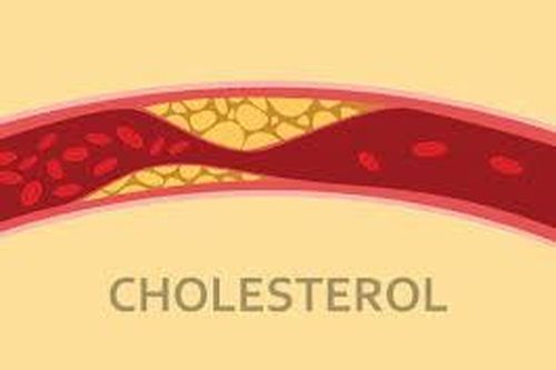 Thực phẩm giúp kiểm soát lượng cholesterol