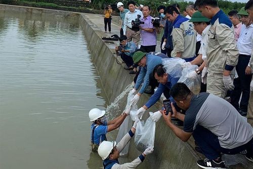 Năm 2020: Việt Nam hứng chịu 576 trận thiên tai khiến 357 người chết và mất tích