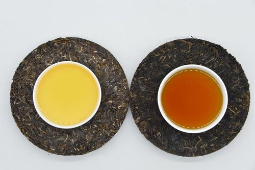 Lên non thưởng một chén trà tình
