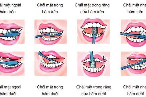 Vai trò của màng sinh học trong các bệnh nhiễm khuẩn răng miệng