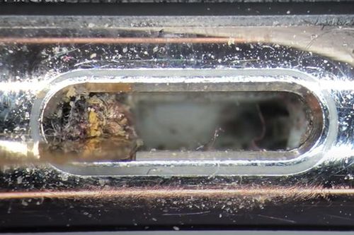 Kinh hãi khi thấy chiếc iPhone chúng ta đang sử dụng bẩn thế nào?