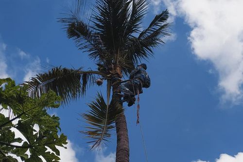 Tôn vinh các 'Nhà khoa học của Nhà nông'