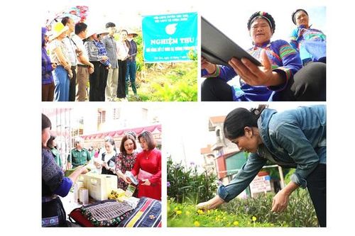 Các cấp Hội trong cả nước thực hiện hơn 15.000 hoạt động xây dựng nông thôn mới