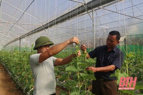Xã Xuân Dương nhân rộng mô hình phát triển sản xuất