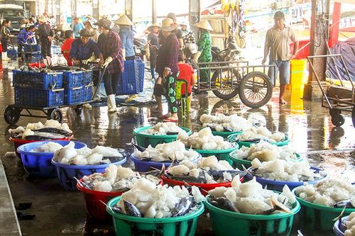 Ứng dụng công nghệ thông tin truy xuất nguồn gốc thủy sản