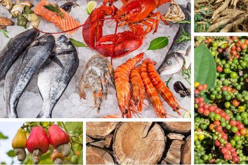 Xuất khẩu ngày 26-28/12: Gạo xuất khẩu vẫn chưa được nhận tên 'Vietnam rice'; Xuất khẩu nông, lâm, thủy sản vượt 'sóng to gió lớn'