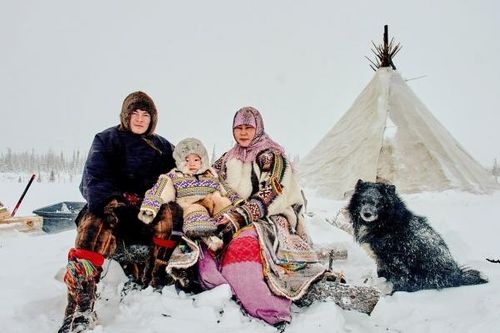 Yamal – Vùng đất của người Nenets, những người chăn tuần lộc du mục cuối cùng trên thế giới