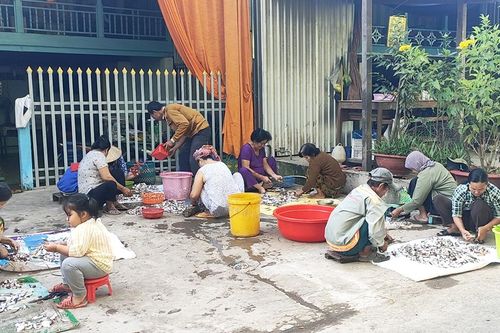 Mùa chế biến nước mắm cá linh ở vùng đầu nguồn