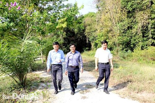 Nâng cao chất lượng hoạt động giám sát của HĐND tỉnh