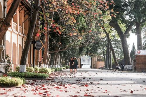 Hà Nội: Ngắm nhìn vầng lá bàng đỏ rực tại Hoàng Thành Thăng Long