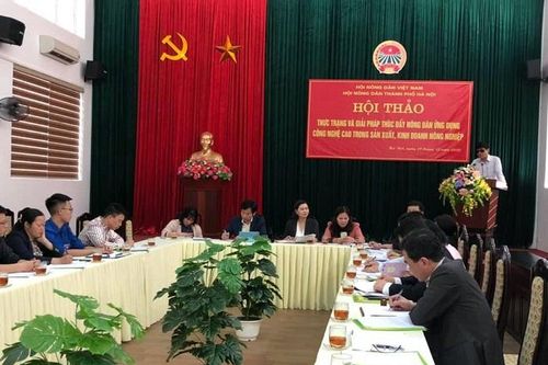Hà Nội: Gỡ nút thắt phát triển nông nghiệp công nghệ cao cho nông dân