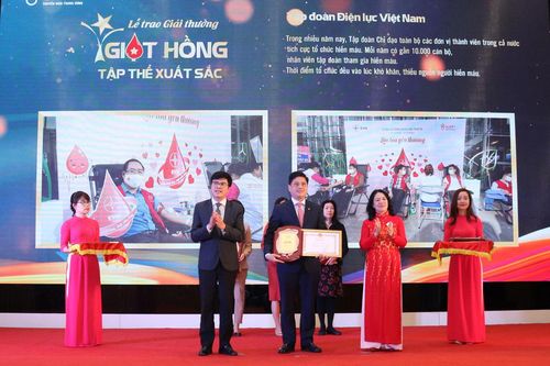 EVN nhận Giải thưởng 'Giọt hồng' năm 2020