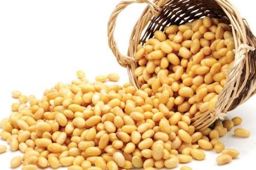 Giá nông sản thế giới đang tăng nhưng bắt đầu xuất hiện rủi ro đảo chiều