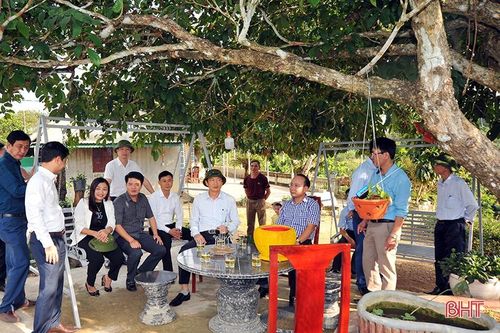 Vũ Quang lan tỏa phong trào làm vườn mẫu, cụm dân cư xanh - sạch - đẹp