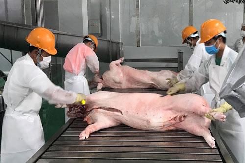 Giá thịt lợn có 'leo thang' dịp Tết Nguyên đán?