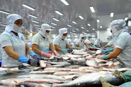 Xuất khẩu cá tra sang Trung Quốc giảm gần 30%