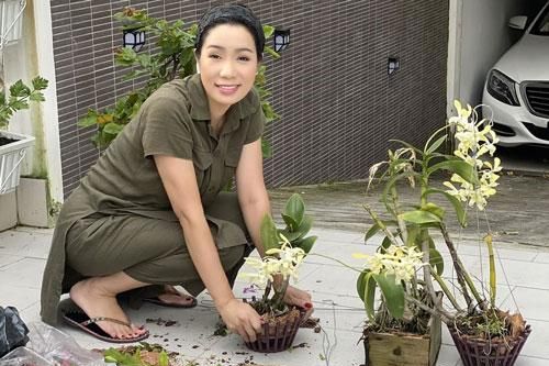 Á hậu Trịnh Kim Chi trồng hoa trong biệt thự 200 m2
