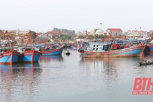 Thanh Hóa tăng cường đảm bảo an toàn cho ngư dân hoạt động phát triển kinh tế biển